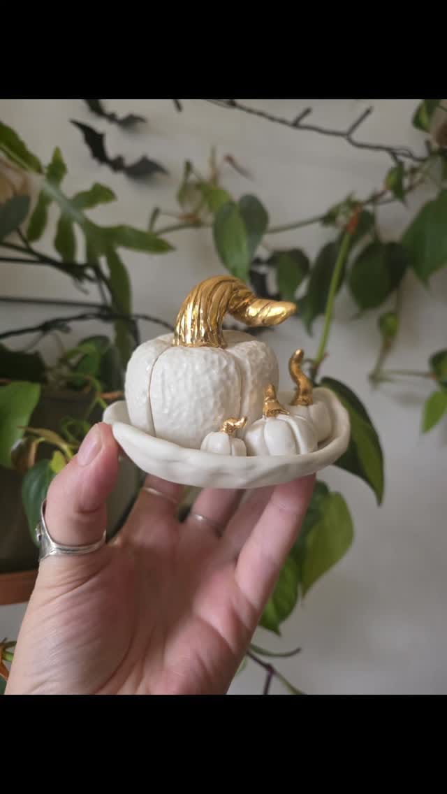 Post 7 by Cotton and Clay Design on Instagram (video)