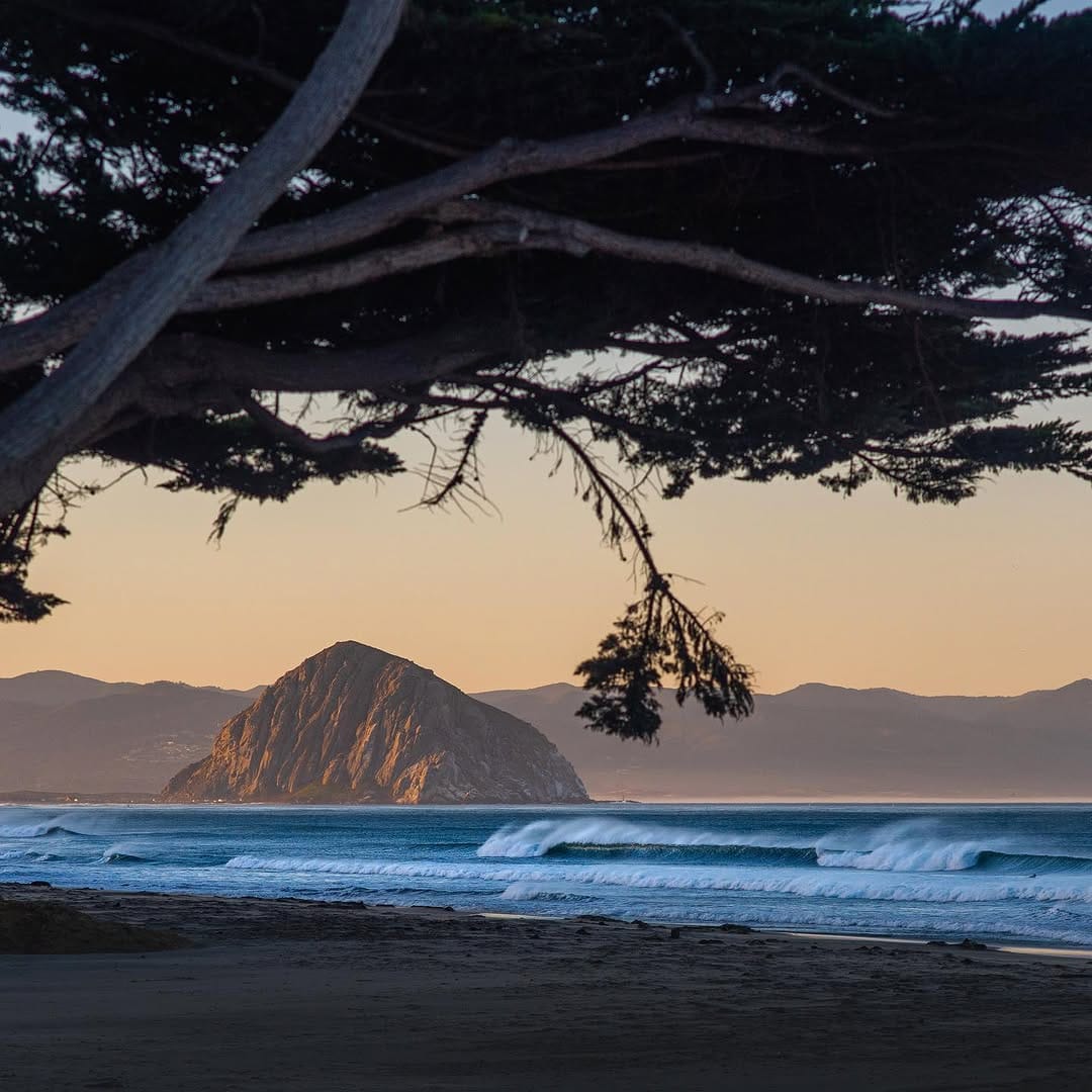 Post 2 by Bennett Lombardo on Instagram (image)