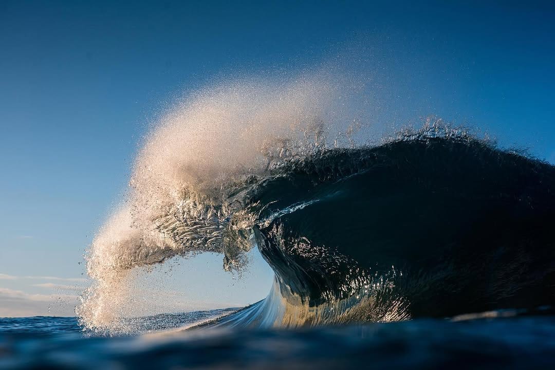 Post 7 by Bennett Lombardo on Instagram (image)