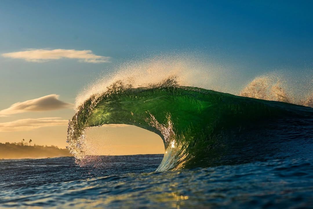 Post 10 by Bennett Lombardo on Instagram (image)
