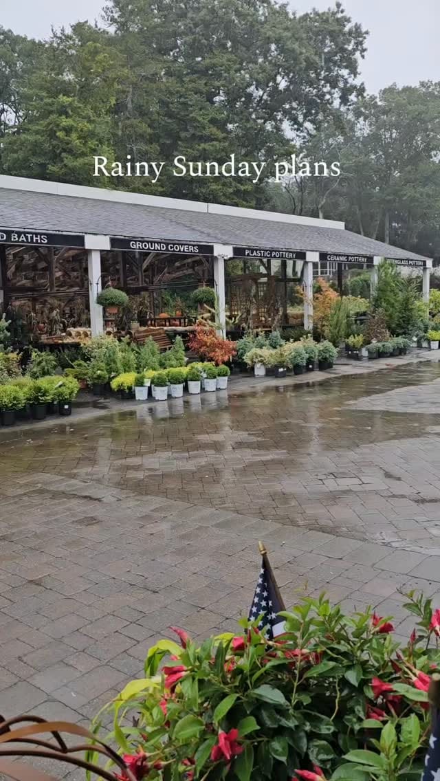 Post 6 by Designs by Lee | Garden Center on Instagram (video)