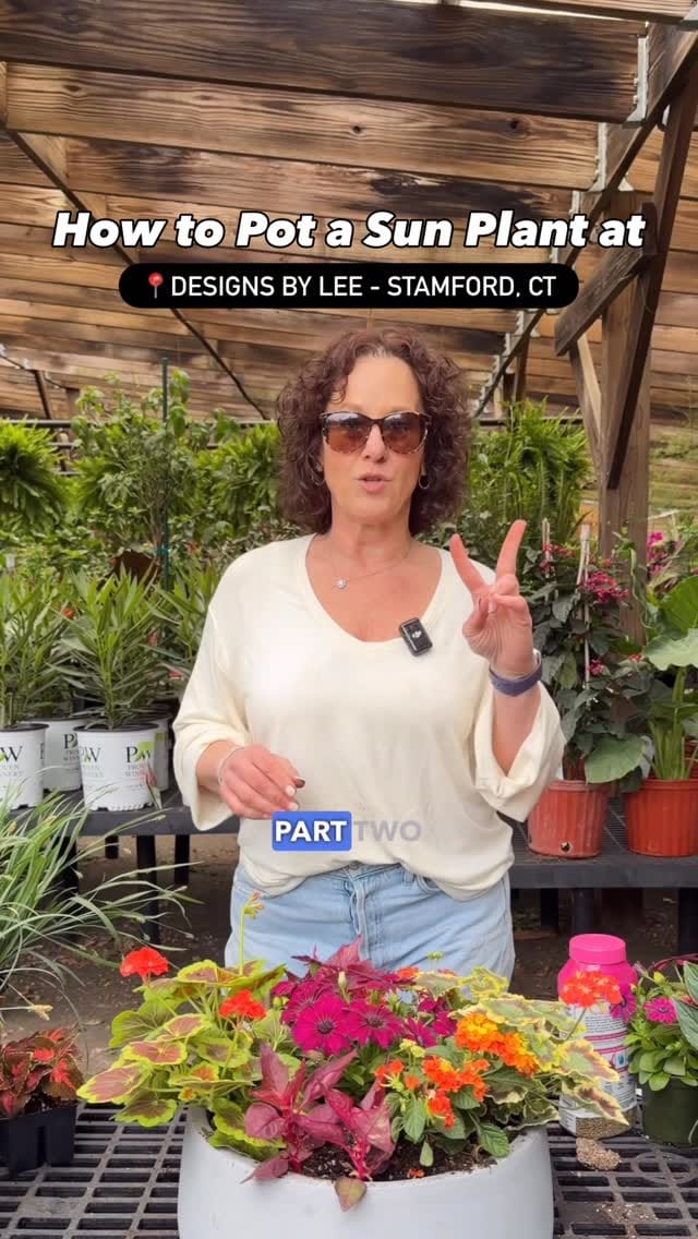 Post 2 by Designs by Lee | Garden Center on Instagram (video)