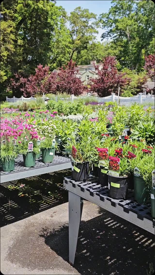 Post 7 by Designs by Lee | Garden Center on Instagram (video)