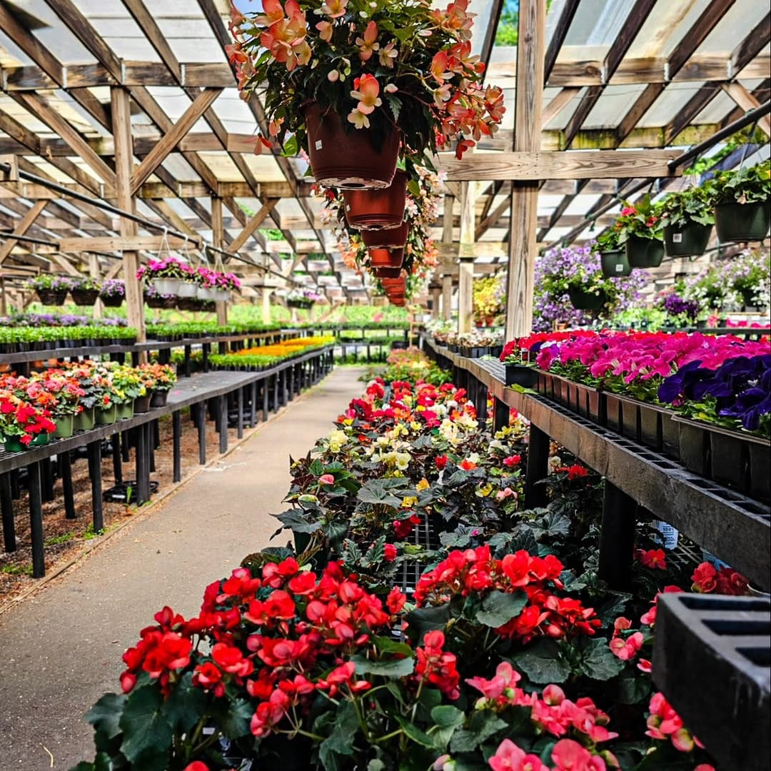 Post 9 by Designs by Lee | Garden Center on Instagram (carousel)