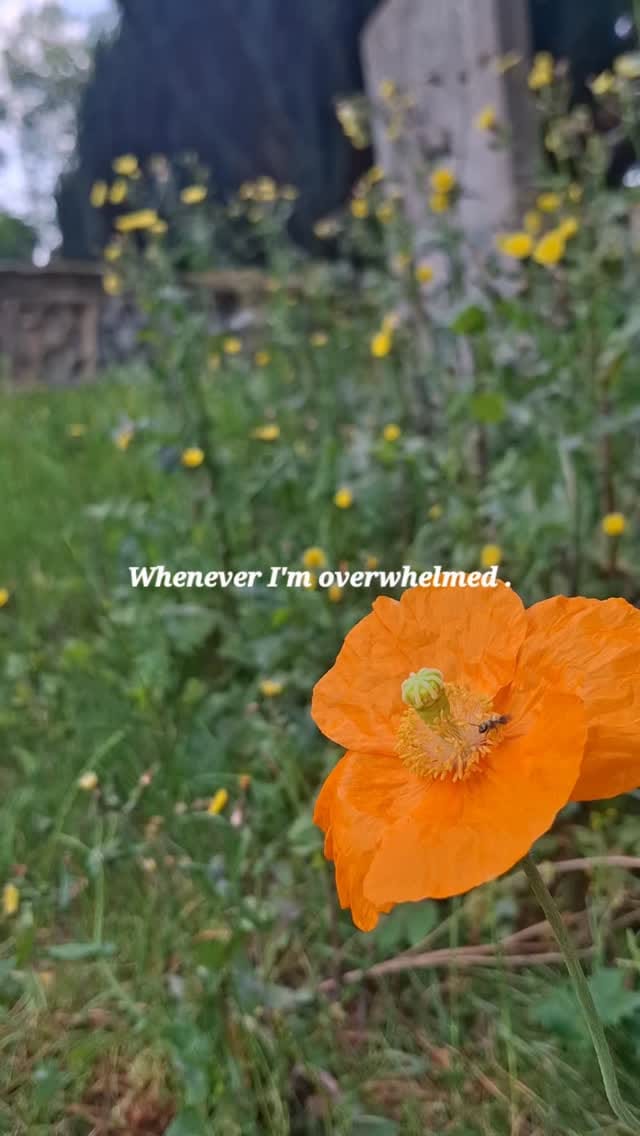 Post 1 by Zoe Jones on Instagram (video)