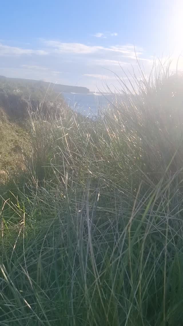 Post 2 by Zoe Jones on Instagram (video)