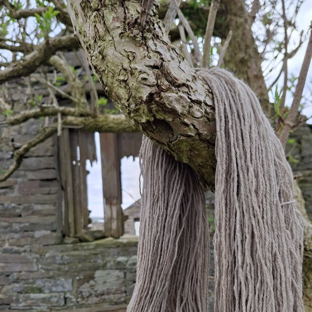 Post 6 by Zoe Jones on Instagram (image)