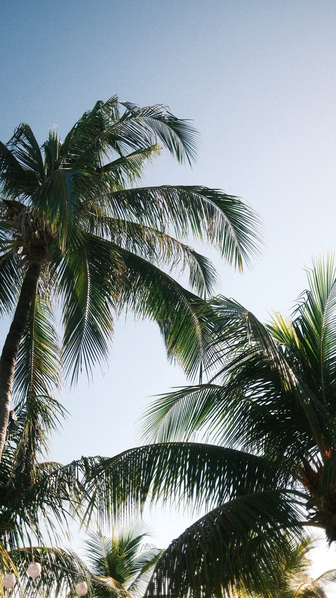 Post 5 by Lucie Liebichova - soft life | femininity | inner glow on Instagram (video)