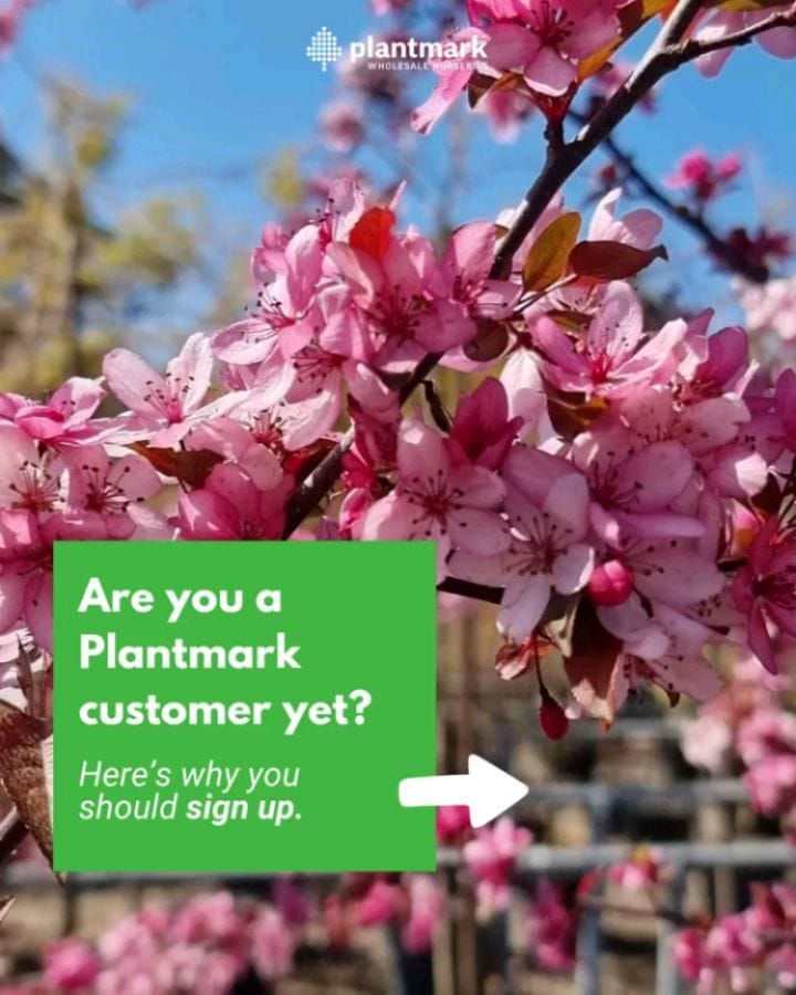 Post 9 by Plantmark | Wholesale Plant Nursery on Instagram (carousel)