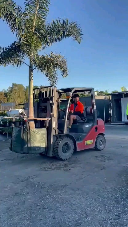 Post 4 by Plantmark | Wholesale Plant Nursery on Instagram (video)