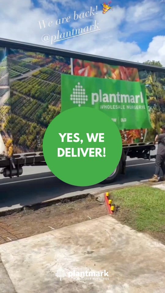 Post 10 by Plantmark | Wholesale Plant Nursery on Instagram (video)