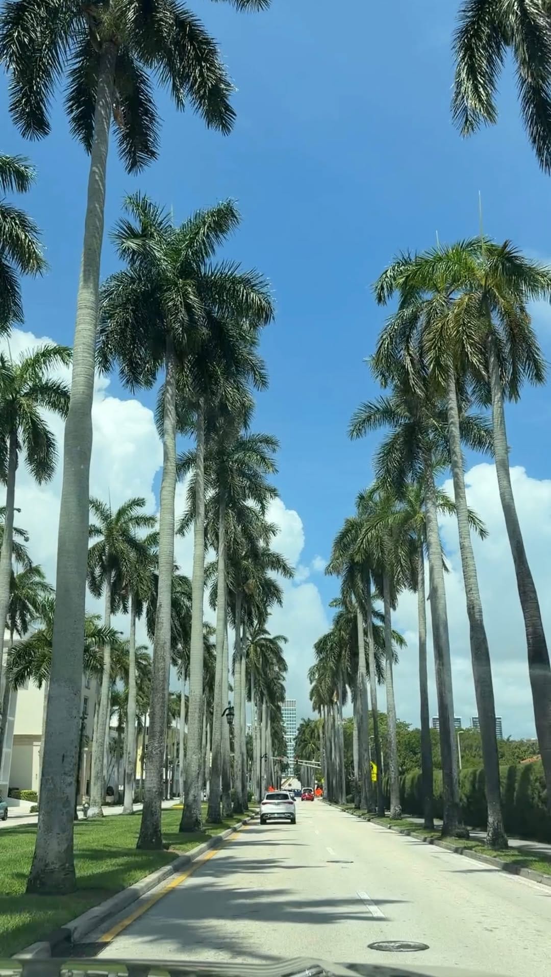 Post 5 by VICTORIA on Instagram (video)