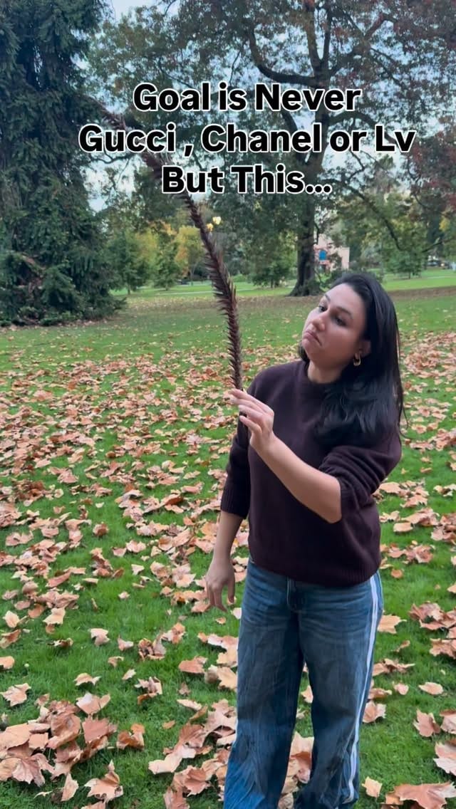 Post 7 by Farheen Shariq on Instagram (video)