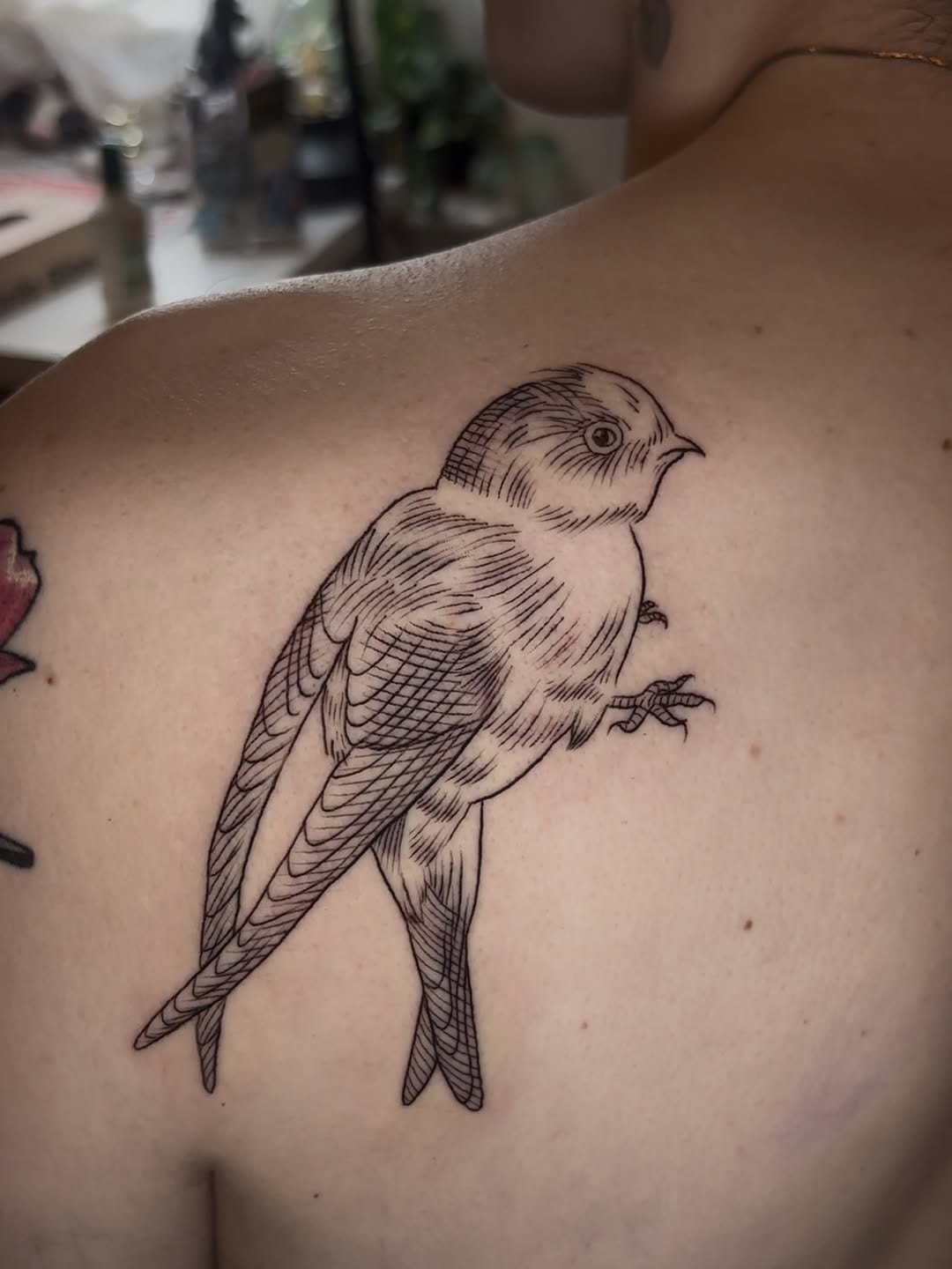 Post 1 by Maribeth | Philly Tattoo Artist on Instagram (carousel)