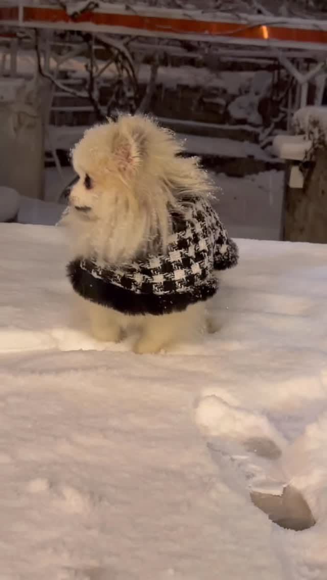 Post 7 by Sevil Badin on Instagram (video)