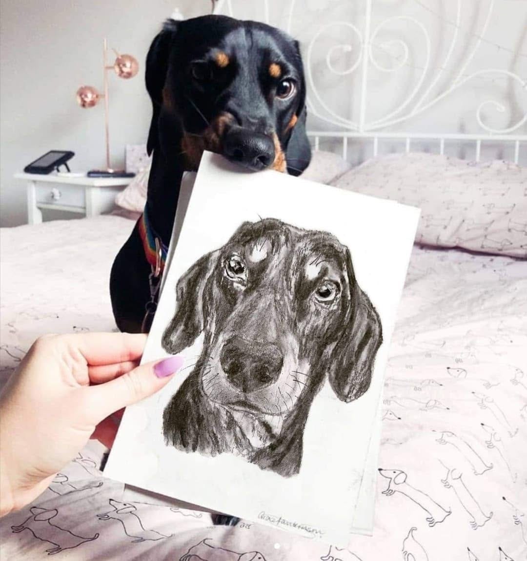 Post 1 by Personal Pet Pawtrait Artist 🐾 on Instagram (image)
