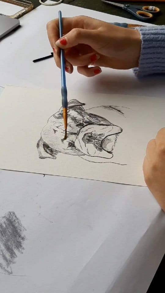 Post 2 by Personal Pet Pawtrait Artist 🐾 on Instagram (video)