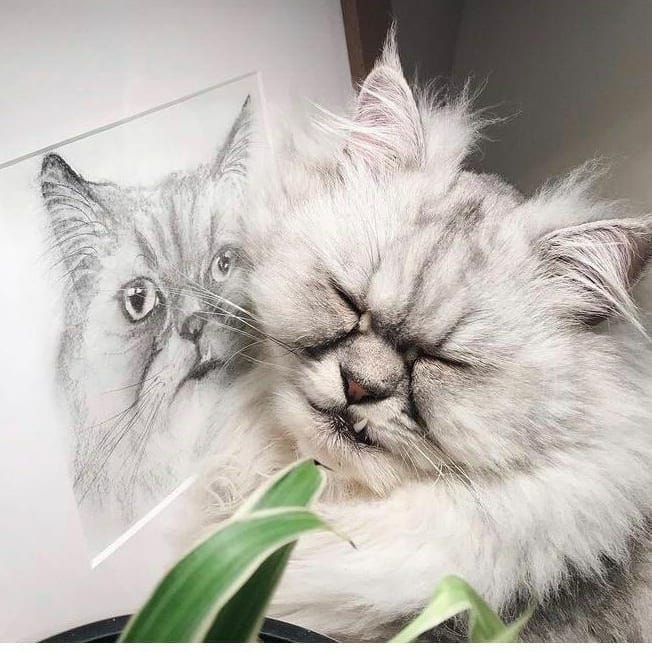 Post 10 by Personal Pet Pawtrait Artist 🐾 on Instagram (image)