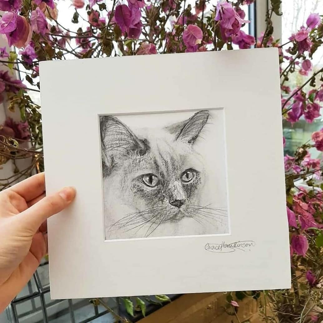 Post 3 by Personal Pet Pawtrait Artist 🐾 on Instagram (image)