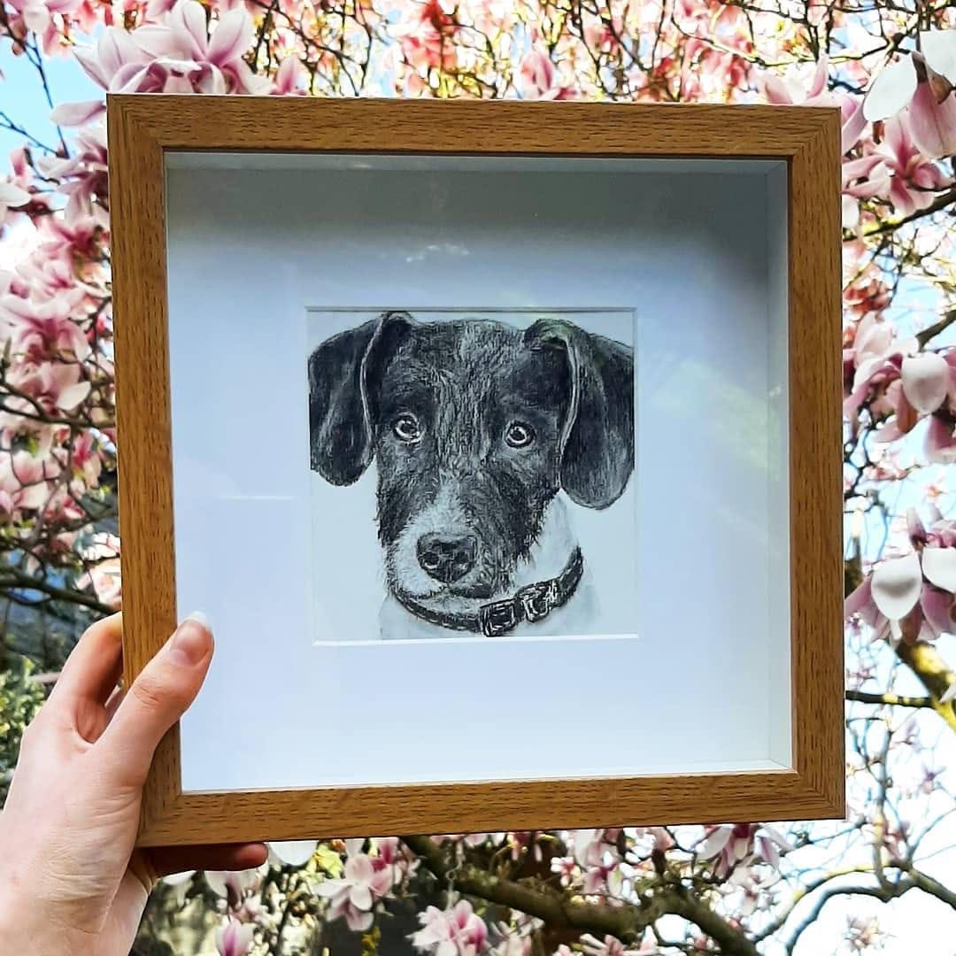 Post 5 by Personal Pet Pawtrait Artist 🐾 on Instagram (image)