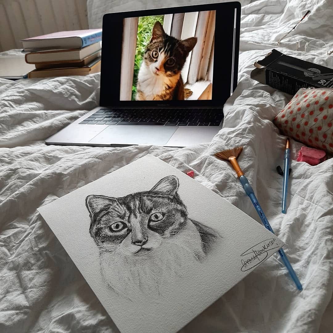 Post 6 by Personal Pet Pawtrait Artist 🐾 on Instagram (image)
