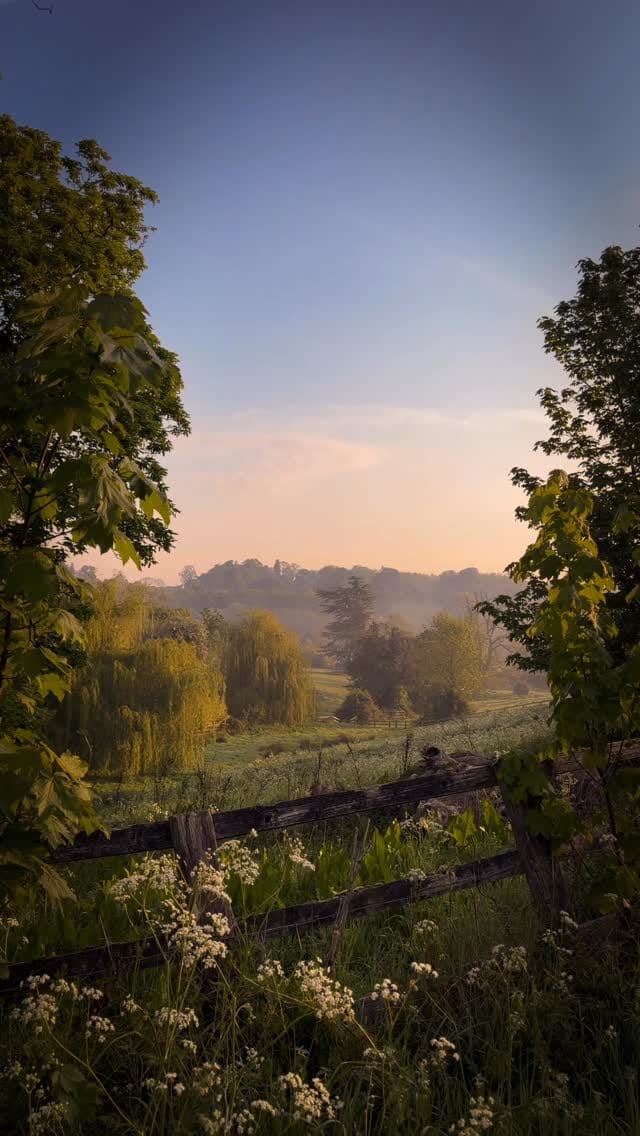Post 10 by Sarah Frances Kelley on Instagram (video)