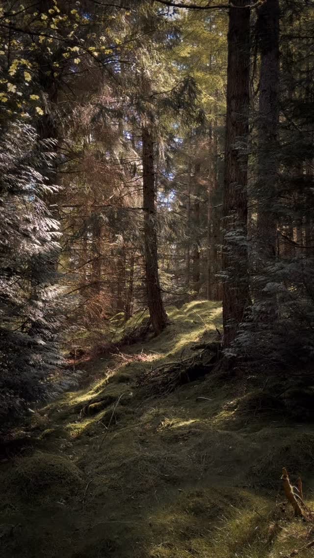 Post 3 by Sarah Frances Kelley on Instagram (video)