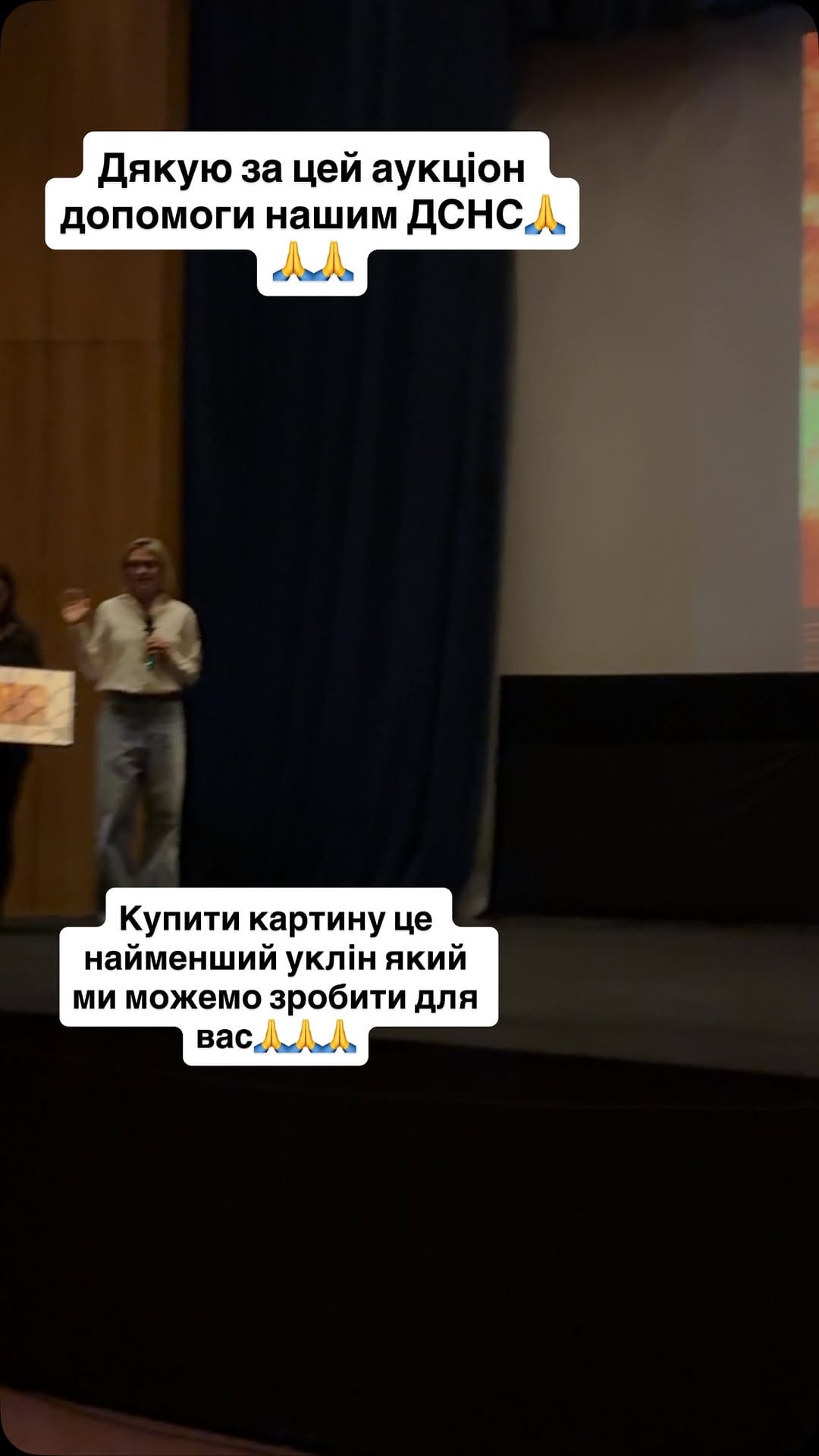 Post 4 by Mariana Shafro on Instagram (video)