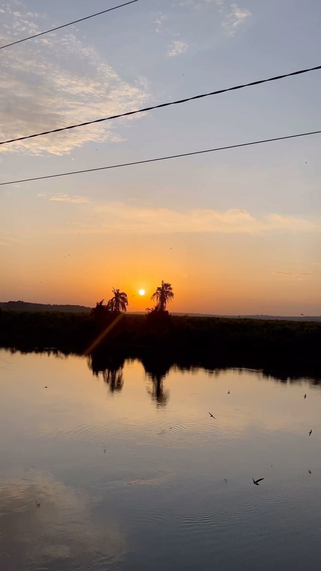 Post 6 by Bajeneza jim on Instagram (video)