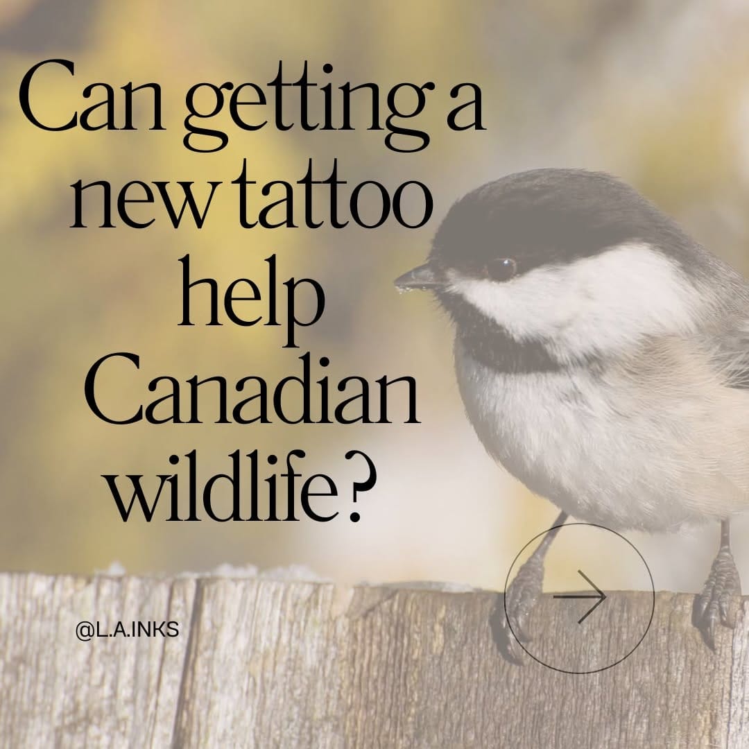 Post 9 by Lori-Anne Little 🌷 Tattoo artist/ Bird Nerd on Instagram (carousel)