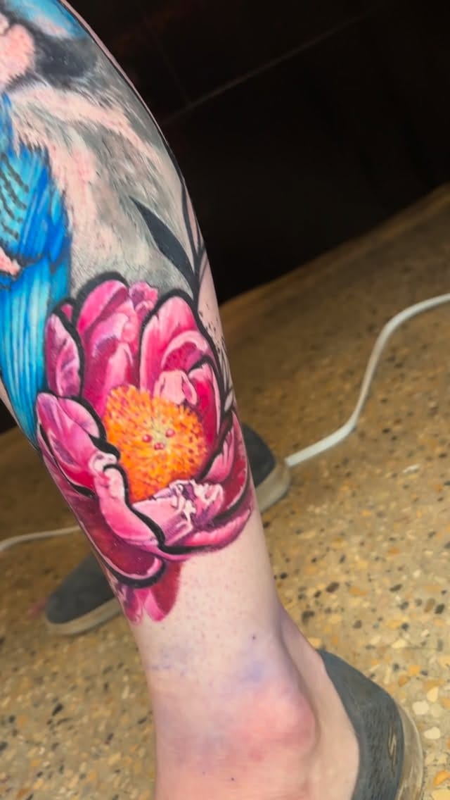 Post 7 by Lori-Anne Little 🌷 Tattoo artist/ Bird Nerd on Instagram (video)