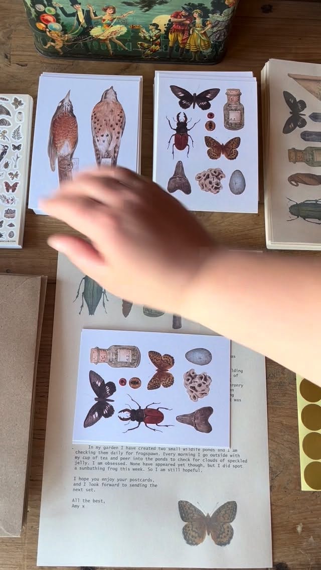 Post 5 by Amy Rose Geden on Instagram (video)