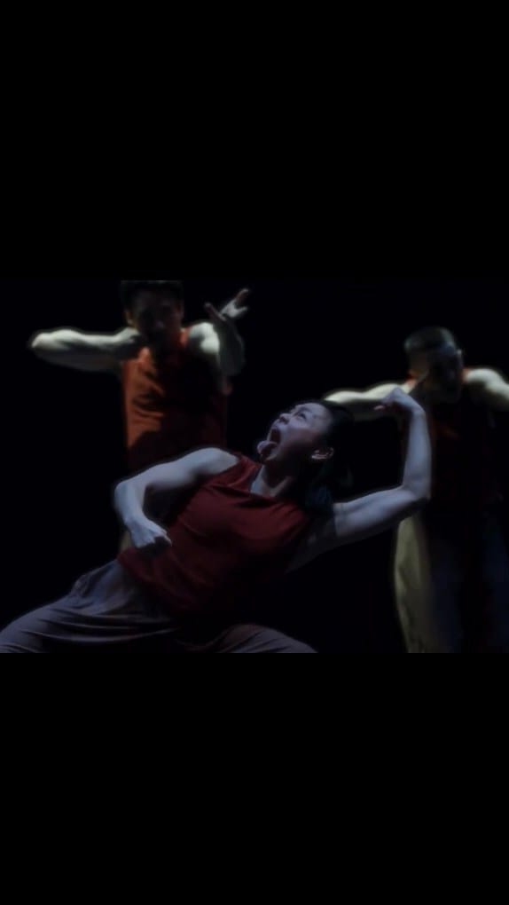 Post 10 by VANESSA VINCE-PANG on Instagram (video)