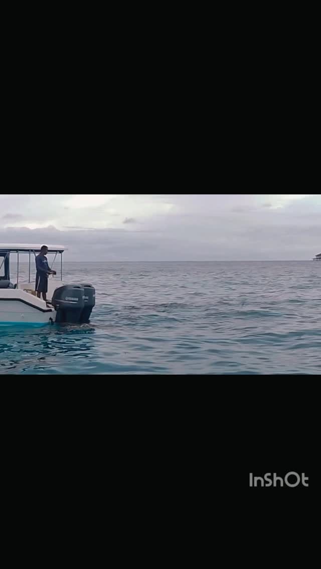 Post 9 by Neha Uniyal on Instagram (video)