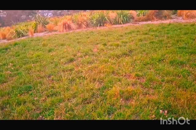 Post 5 by Neha Uniyal on Instagram (video)