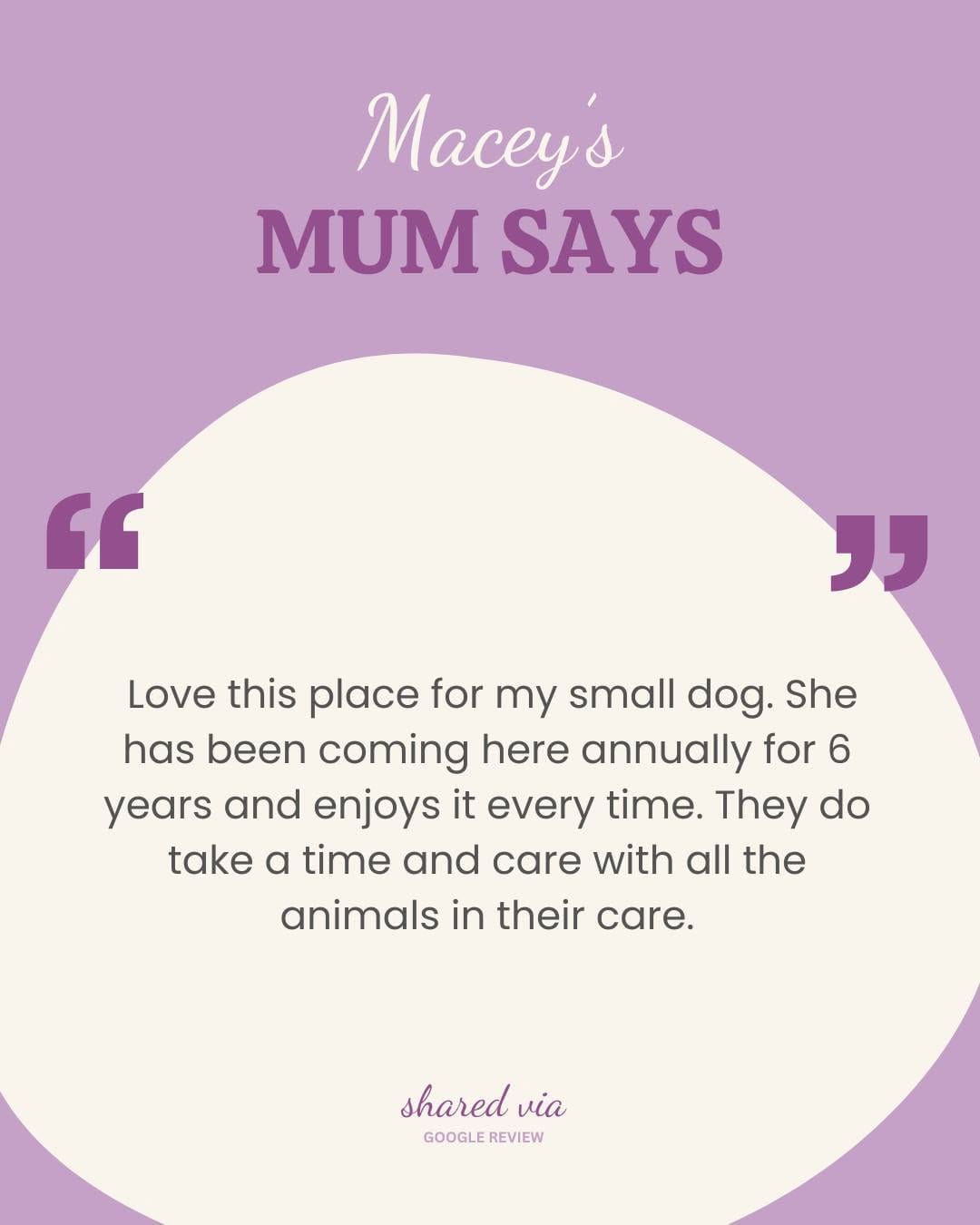 Post 8 by Pet Resorts AU Port Melbourne | Pet Boarding & Doggy Daycare on Instagram (image)