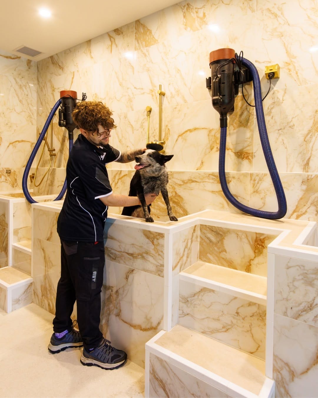 Post 6 by Pet Resorts AU Port Melbourne | Pet Boarding & Doggy Daycare on Instagram (image)