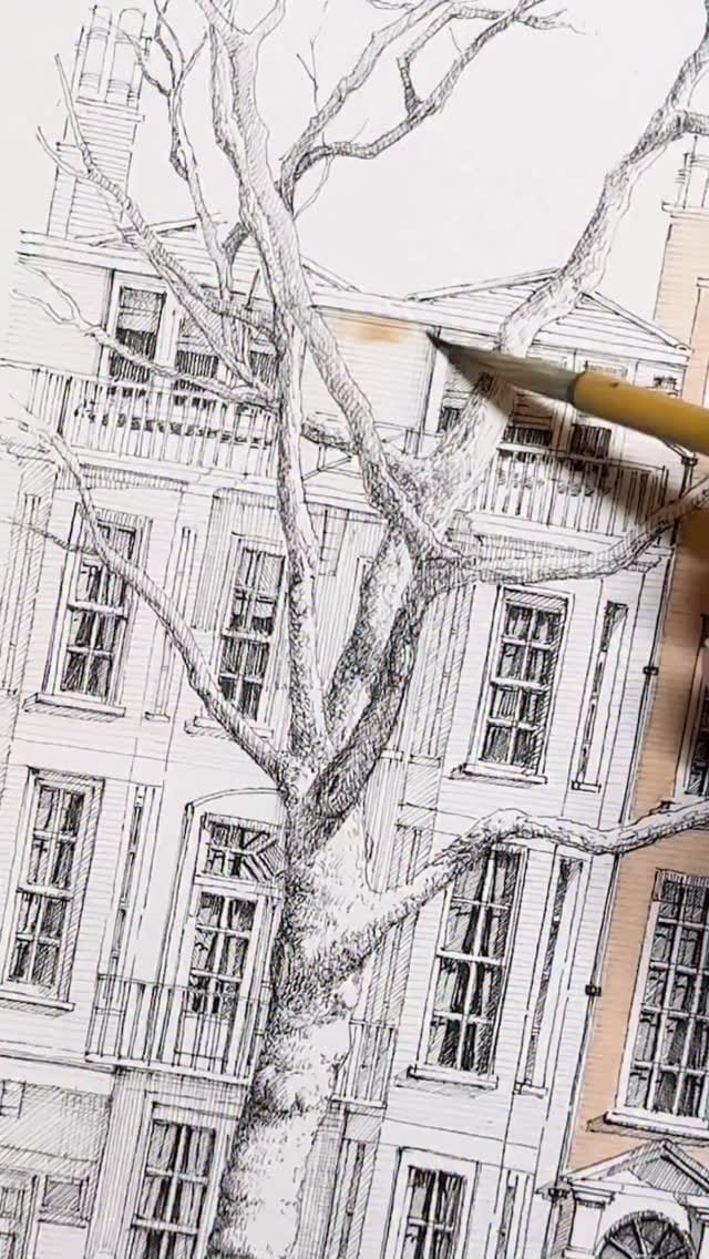 Post 4 by Mayad Allos on Instagram (video)