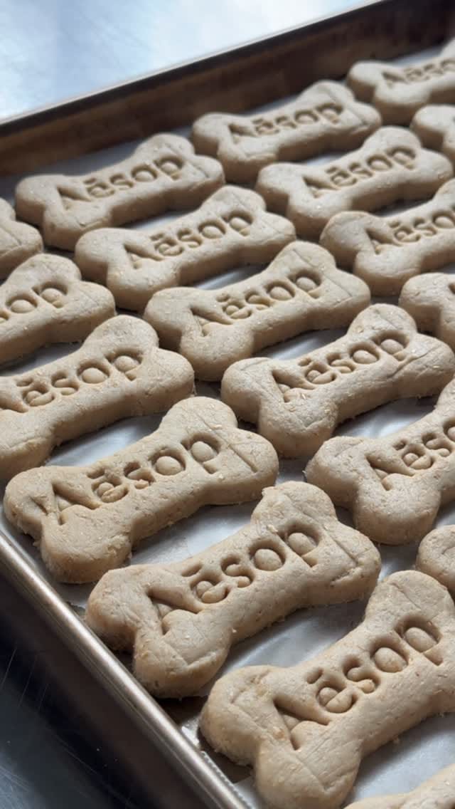 Post 6 by THE ORGANIC DOG COMPANY on Instagram (video)