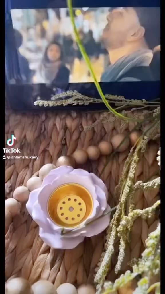 Post 7 by Ahlam Shukairy on Instagram (video)