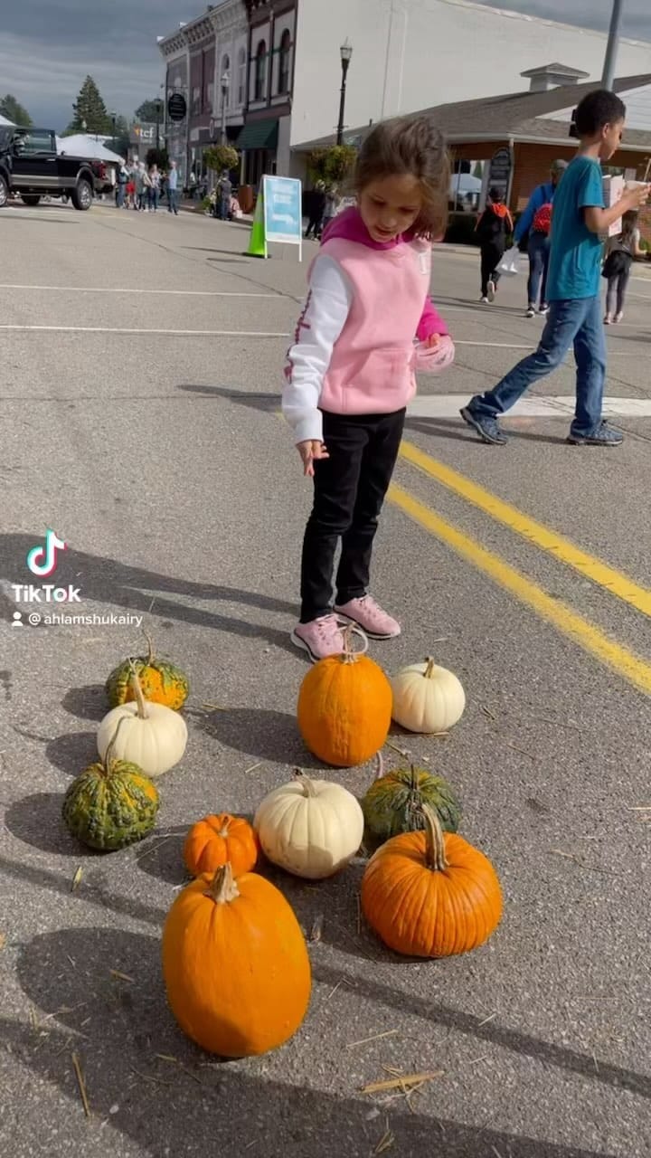 Post 10 by Ahlam Shukairy on Instagram (video)