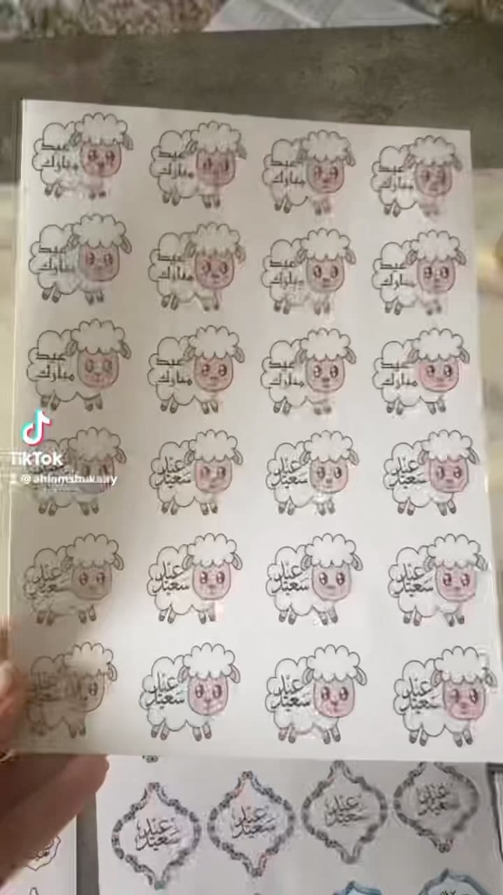 Post 3 by Ahlam Shukairy on Instagram (video)