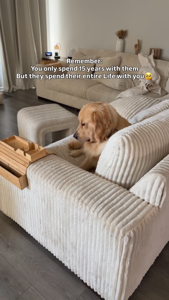 Post 5 by HARSHI & SRIDHAR 🇺🇸🇮🇳 Family & Lifestyle on Instagram (video)