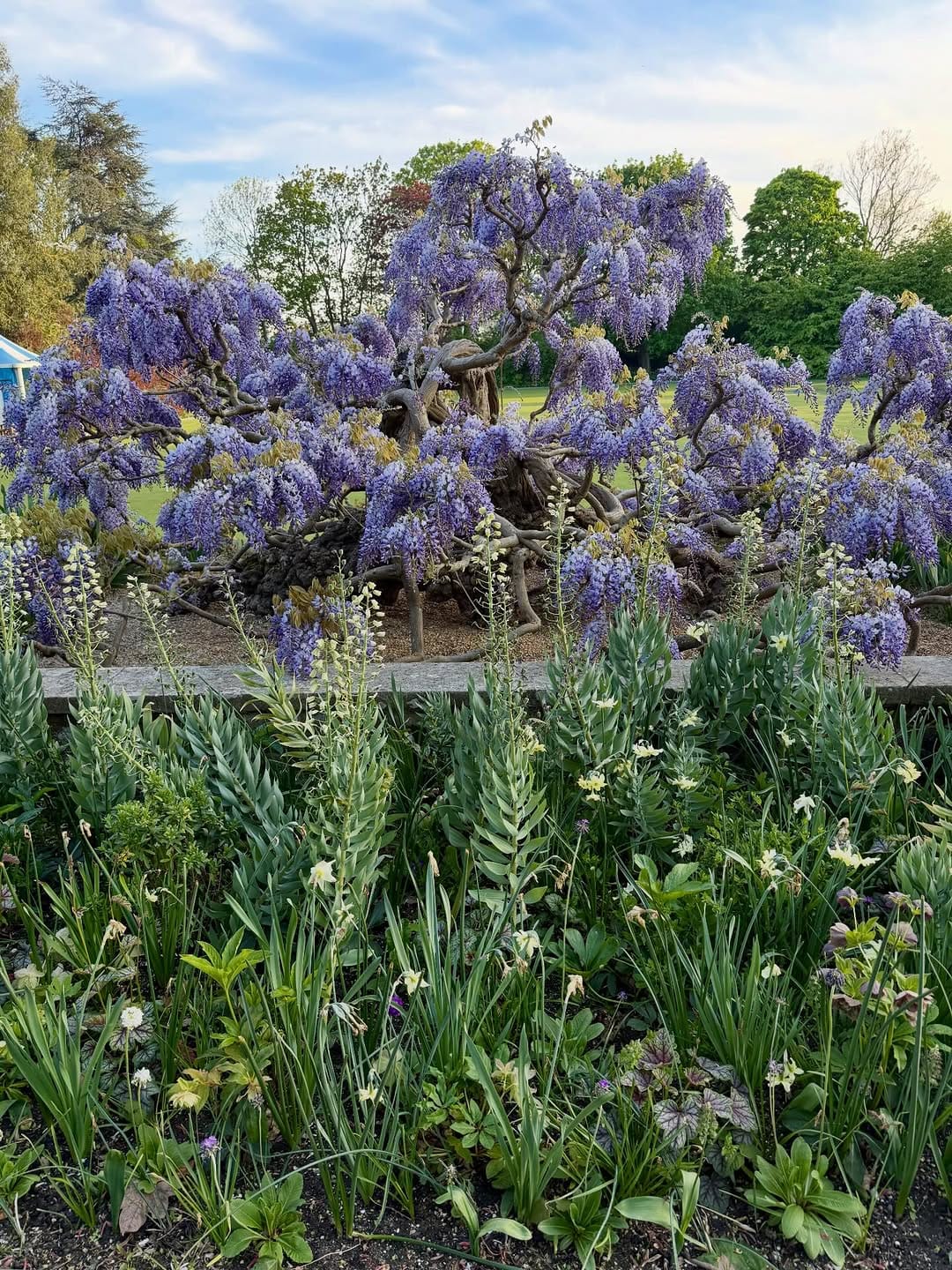 Post 10 by Victoria Wormsley on Instagram (image)