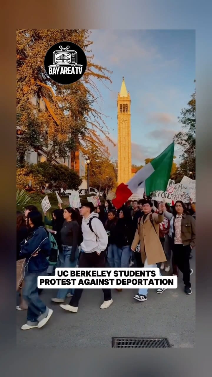 Post 8 by Students of UC Berkeley on Instagram (video)
