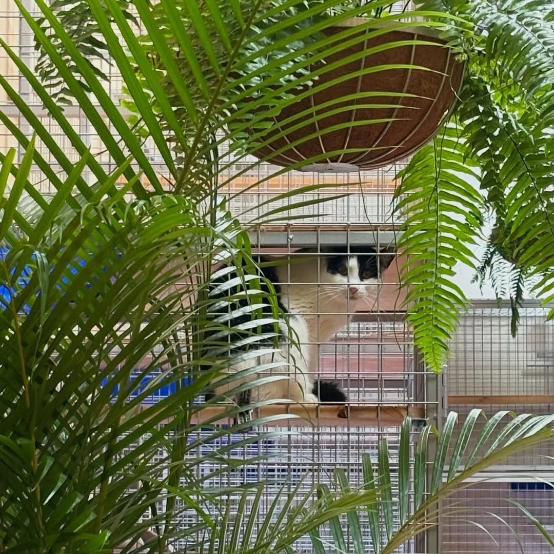 Post 1 by My Jungle Home on Instagram (carousel)