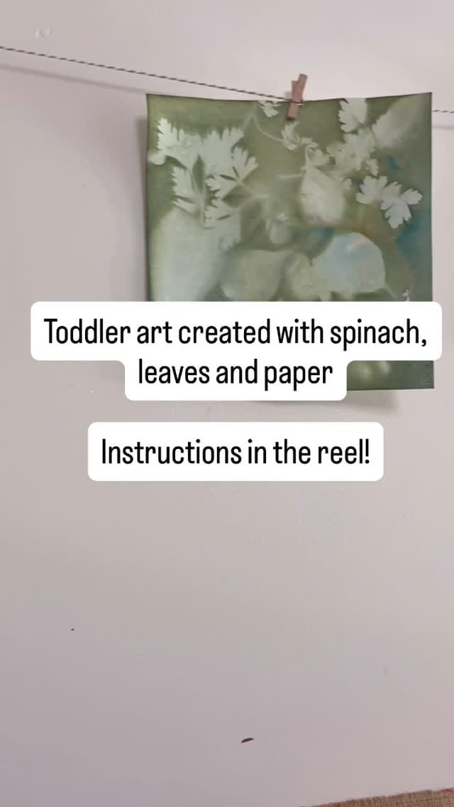 Post 7 by Stephanie O'Brien on Instagram (video)