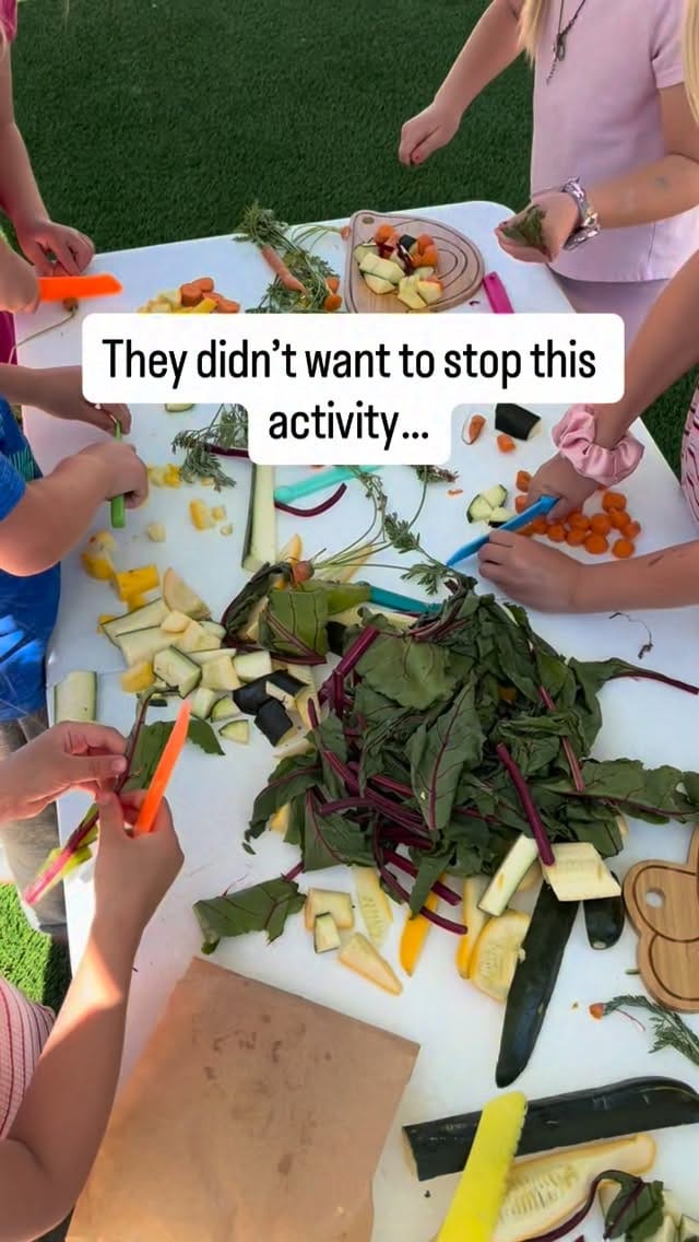 Post 6 by Stephanie O'Brien on Instagram (video)