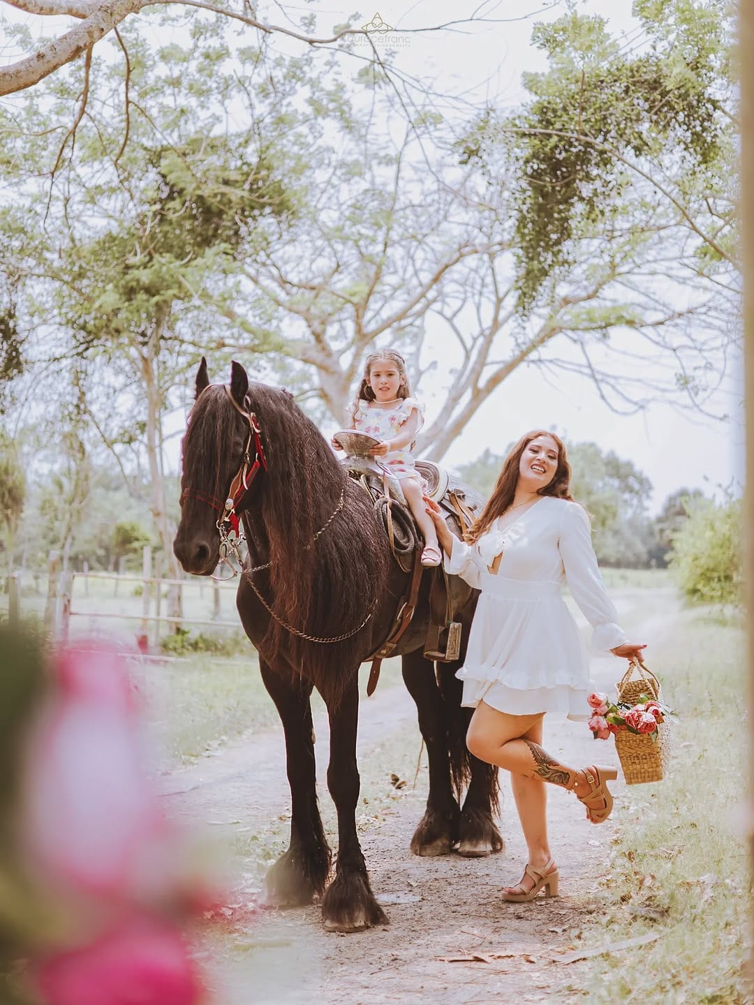 Post 8 by Lauracefranc on Instagram (carousel)