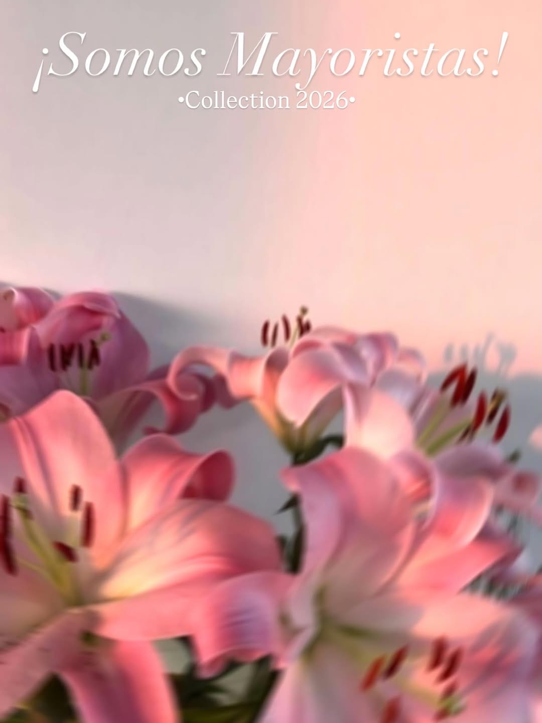 Post 6 by ALAZ CLOTHING on Instagram (image)